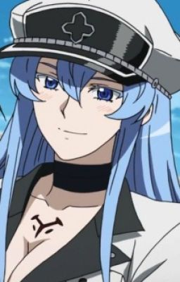 Ice, Blood, and Void (Esdeath x Male Reader)