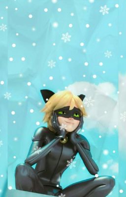 Ice Cold (Chat Noir x Reader)