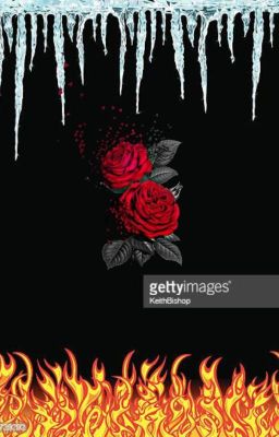 ice fire and roses