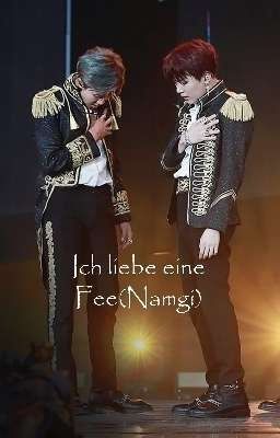 Ich liebe eine Fee(Namgi)