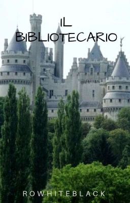 IL BIBLIOTECARIO !MERLIN AU