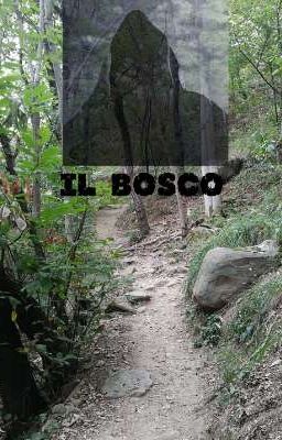 Il bosco