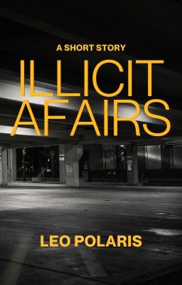 Illicit Affairs