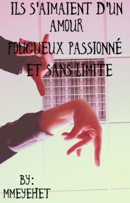 Ils S'aimaient D'un Amour Fougueux, Passionné Et Sans Limite 