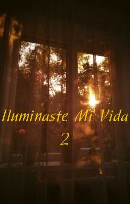 ILUMINASTE MI VIDA  2