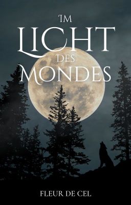 Im Licht des Mondes