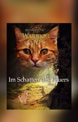 Im Schatten des Feuers - Warrior Cats