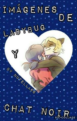 Imágenes De Ladybug Y Chat Noir