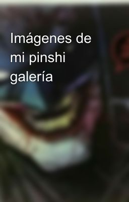 Imágenes de mi pinshi galería