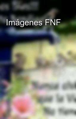 Imágenes FNF