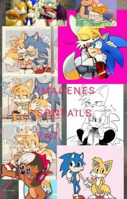 IMAGENES SONTAILS (Limpiando)