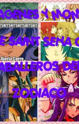 imagenes y momos de saint seiya o caballeros del zodiaco