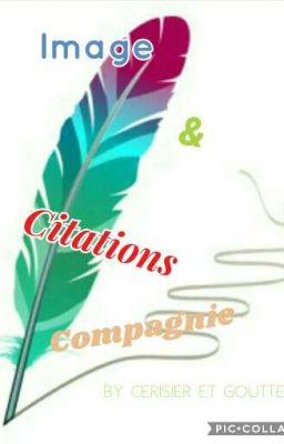 Images, citations & compagnie 