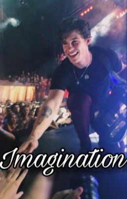 Imagination. // Shawn Mendes x Reader.