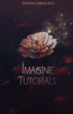 Imagine Tutorials | Ongoing