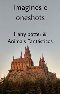 Imagines e oneshots HP e Animais Fantásticos