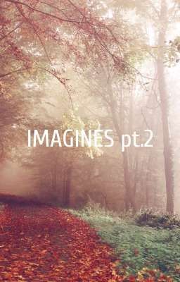 IMAGINES pt.2