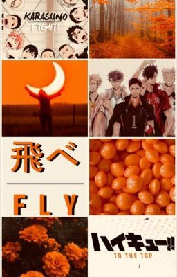 || Immagina Haikyuu!! || [XReader]