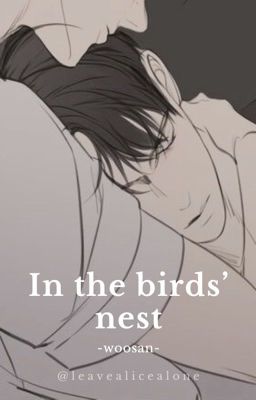 In the birds' nest • woosan