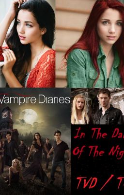 In the Dark of the Night: TVD/TO