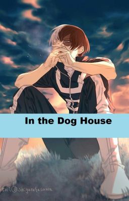 In the Dog House (Todoroki Shouto x Reader)