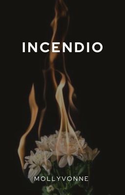 INCENDIO | HyunIn | Omegaverse | One shot