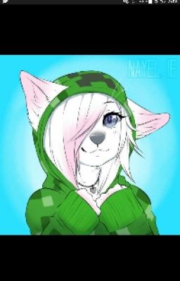 Individual Furry Or Neko RP