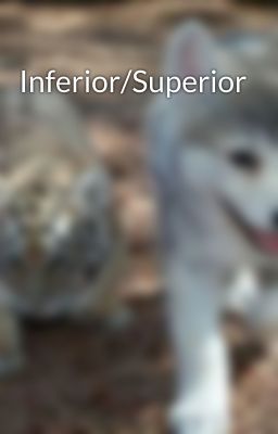 Inferior/Superior