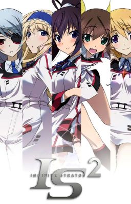 Infinite Stratos Harem x Fem!Reader