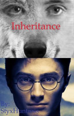 Inheritance