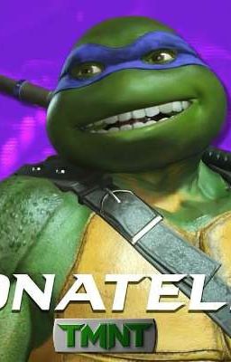 INJ2 Donatello x reader oneshots REQUESTS OPEN