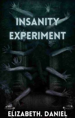 Insanity Experiment (Book 2)