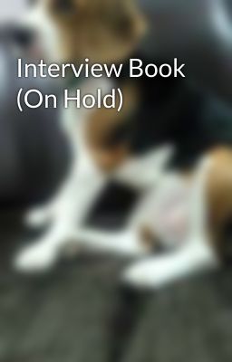 Interview Book (On Hold) 