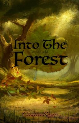 ˚°≈Into The Forest≈°˚