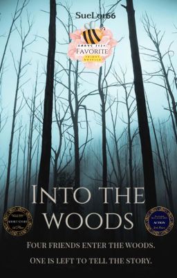 Into the Woods | 🥇 2024 Amby Winner