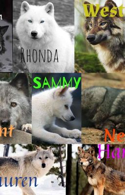 Introducing the Wolves