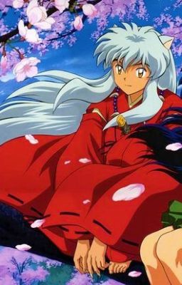 Inuyasha eine abenteuerliche Reise Buch 1