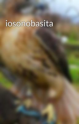 iosonobasita 