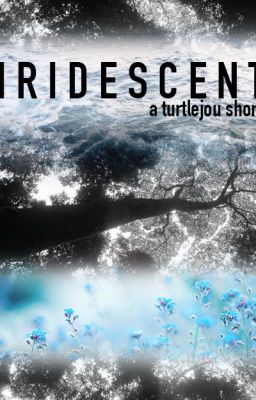 Iridescent - A Turtlejou Short (WoF)