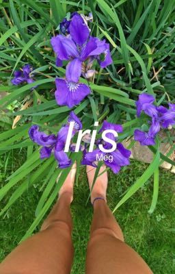 Iris// l.r.h - book IV