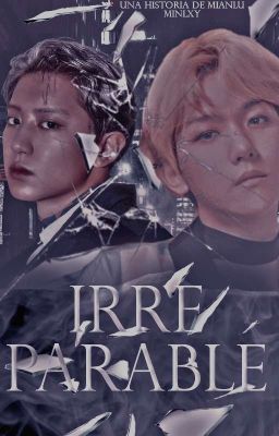 •Irreparable•ChanBaek.