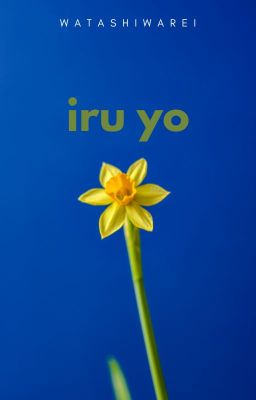 iru yo