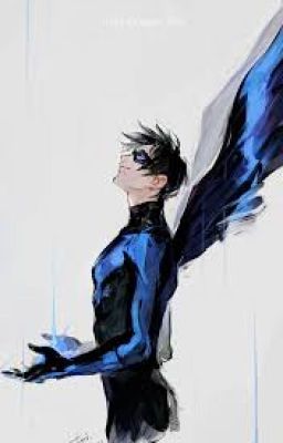 It Puts the Wing in Nightwing