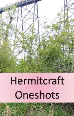 It's Another Hermitcraft Oneshot Book