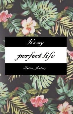 It's my perfect life // Ashton Irwin