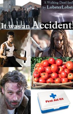 It was an Accident! (The Walking Dead Rick/Michonne)