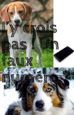 J'y crois pas ! Un faux numéro ?