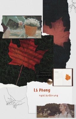 [JaeRen] Lá phong