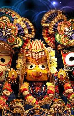 🙏🏻 Jagannath Puri - Ratha Yatra 🙏🏻