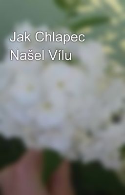 Jak Chlapec Našel Vílu